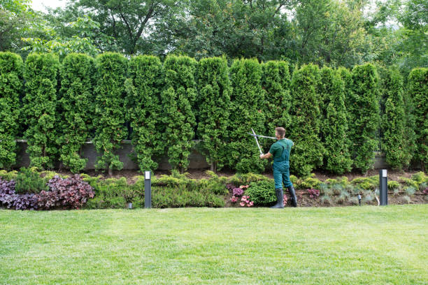 Best Artificial Turf Installation  in Baldwinville, MA